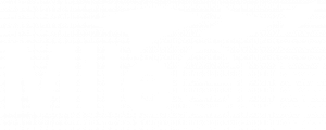 MileGuy Logo hell